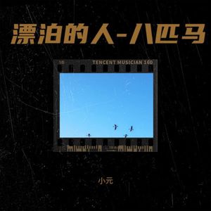 漂泊的人-八匹马