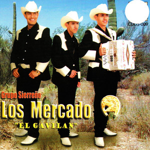 Sentimiento De Dolor