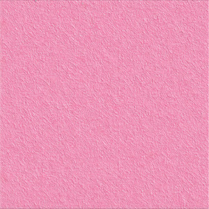 夏天和你拥入怀中