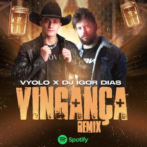 Vingança (FUNK)