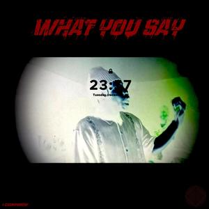 What You Say (Explicit)