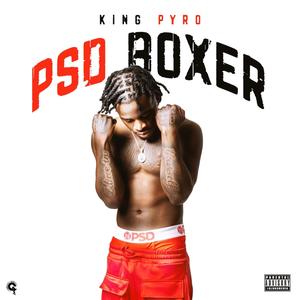 PSD BOXERS (Explicit)