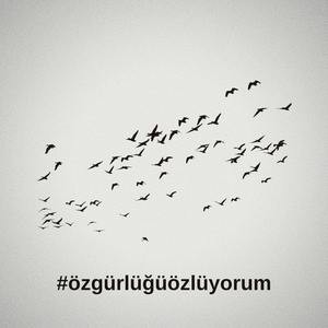 özgürlüğüözlüyorum