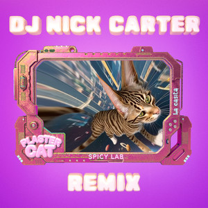 Plaster Cat (DJ NICK CARTER Remix) [Explicit]