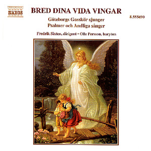 BRED DINA VIDA VINGAR