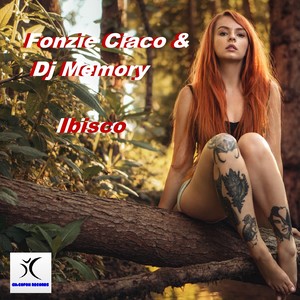 Ibisco (DJ ciavoli lounge Radio Edit)