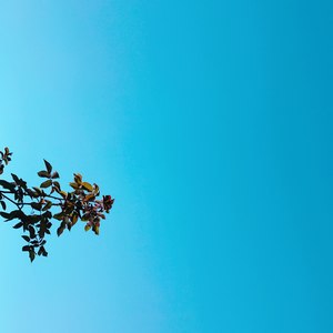 我将亲手埋葬那段过往