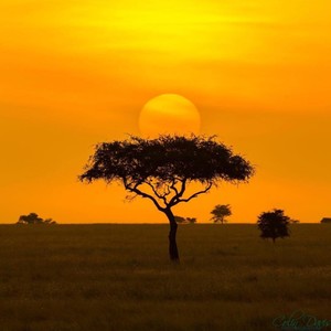 Africa