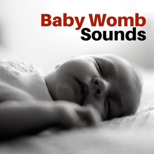 Baby Womb Sounds