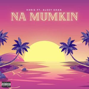 NA MUMKIN (feat. Aleey khan & ANAS) (Explicit)