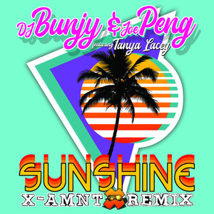 Sunshine (X-Amnt Remix)