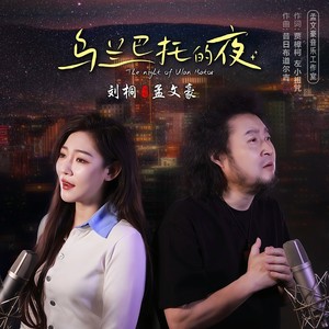 乌兰巴托的夜