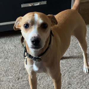 Stress managment (feat. Quincy Hinch) (Explicit)