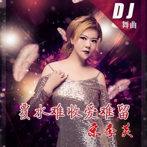 覆水难收爱难留 (DJ版)