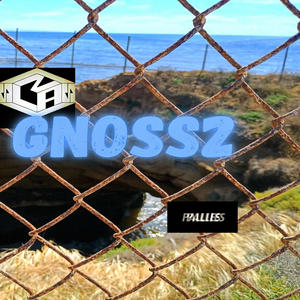 Gnoss2 (feat. Lowly, Doc Bones & Fixit - prod.) (Explicit)
