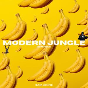 Modern Jungle (Extended)