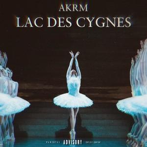 Lac des Cygnes (Explicit)