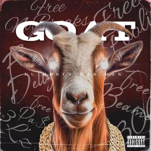 Dat NiccA (feat. RSM BankRoll) (Explicit)