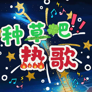 《听风语》：总会等到来迟的你，在时光的流转中，寻觅那份迟来的温柔 (DJ长音频)封面