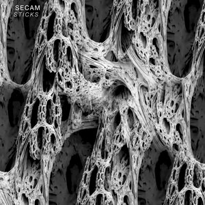 Sticks (d_func Remix)