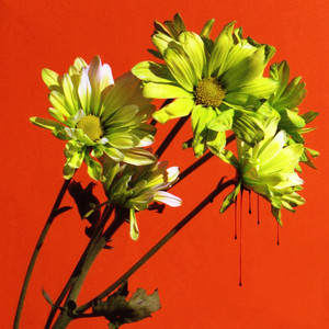 Red Rosamond - In The Blood