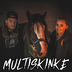Multiskinke (Explicit)