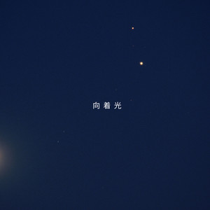 向着光