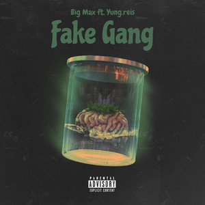 Fake Gang (feat. Yung.reis) [Explicit]