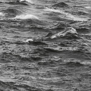 FEATHERED SUN - Scheune (Original Mix)