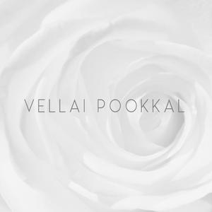 Vellai pookkal