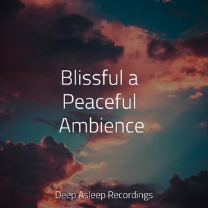 Blissful a Peaceful Ambience