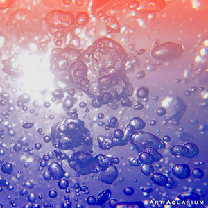 Art Aquarium