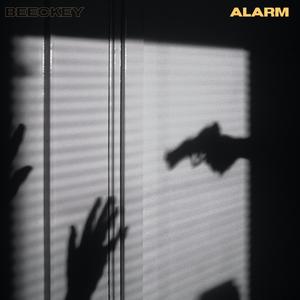 Alarm