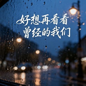 好想再看看曾经的我们