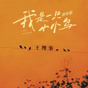 我是一只小小鸟 (释怀版)