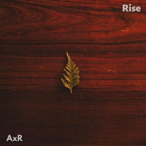 Rise封面