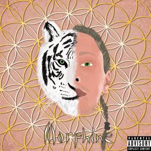 M.Ake C.Hange (Explicit)