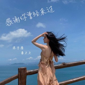 不再相信爱情了 (DJ咚鼓版)封面