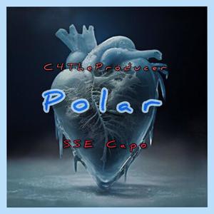 Polar (feat. C4TheProducer) (Explicit)