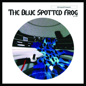 The Blue Spotted Frog (Echosphere's Hold Onto This Moment Acid Remix)