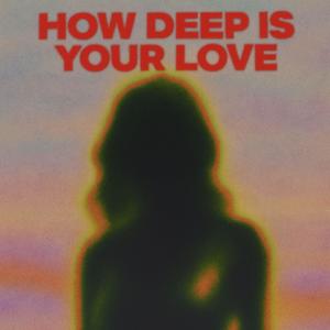 How Deep Is Your Love (Dubstep)