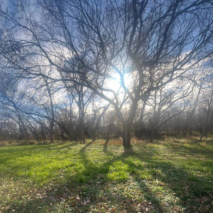 We All Did It (Explicit)