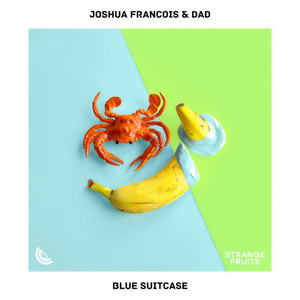 Joshua Francois - Blue Suitcase