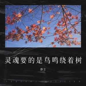 灵魂要的是鸟鸣绕着树