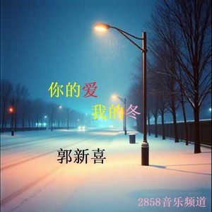 你的爱我的冬DJGXX版本