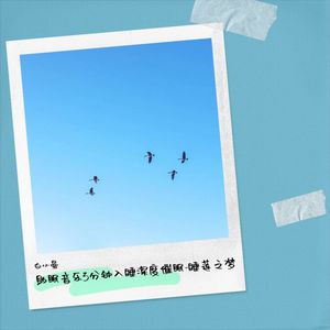 钢琴曲纯音乐舒缓睡眠 放松大脑-随风而舞