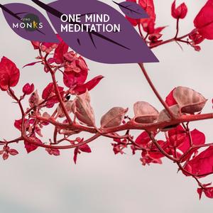 Serenity Calls - 24 Hours