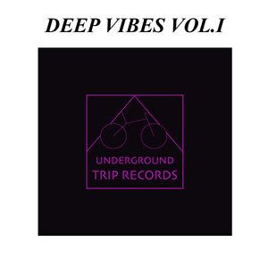 Black Bird (Original Mix)