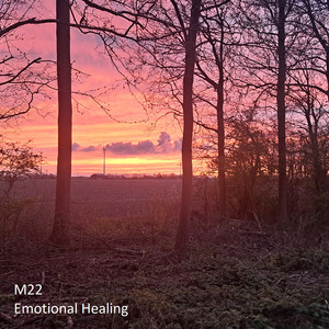 Emotional Healing