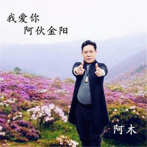 我爱你阿伙金阳